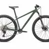 Specialized Rockhopper Elite 29 Gloss Sage Green / Oak Green -Fahrrad Verkaufsgeschäft specialized rockhopper elite 29 gloss sage green oak green