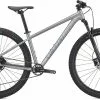Specialized Rockhopper Expert 29 Satin Silver Dust / Black Holographic