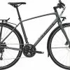 Trek FX 2 Disc Equipped Satin Lithium Grey -Fahrrad Verkaufsgeschäft trek fx 2 disc equipped lithium grey