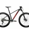 Trek Roscoe 6 Lithium Grey / Cobra Blood